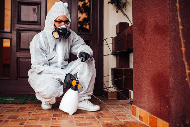 Reliable Cockroach Control contractor in Colonial Heights, VA by Nex Pest Control