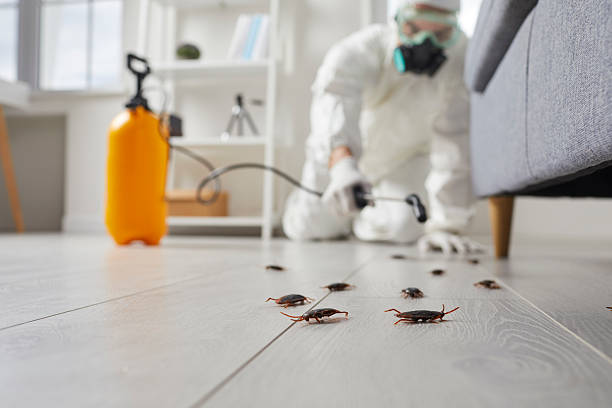 Affordable Cockroach Control solutions in Colonial Heights, VA